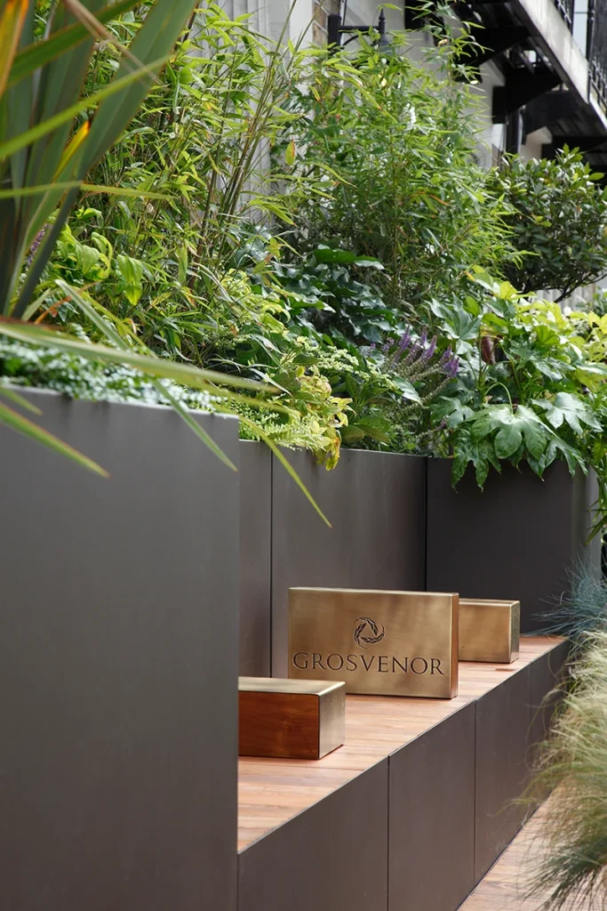 A wooden bench with a plant on it.