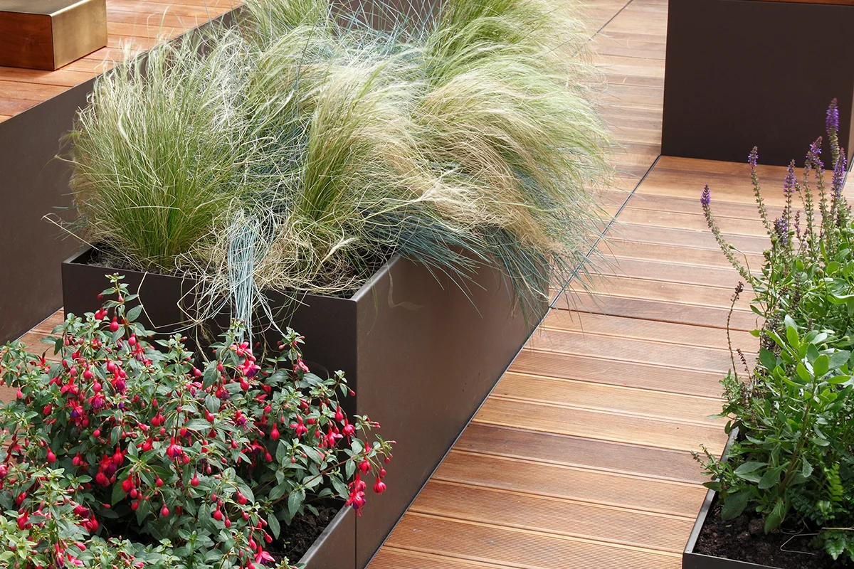 A garden with wooden benches and potted plants.